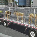 Free Games - Animal Zoo Transporter Truck Driving Game 3D