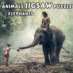 Free Games - Animals Jigsaw Puzzle Elephants