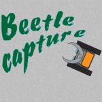 Free Games - Beetle capture