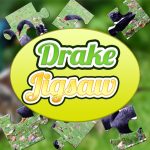 Free Games - Drake Jigsaw