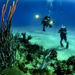 Free Games - Underwater Hidden Numbers
