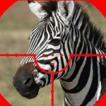 Free Games - ZEBRA HUNTER