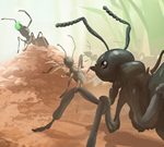 Free Games - Ants.io