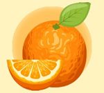 Free Games - Coloring Book: Orange