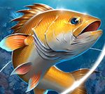 Free Games - Fishing Life