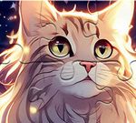 Free Games - Jigsaw Puzzle: Cat Star