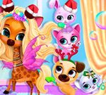 Free Games - Pets Grooming Bubble Party