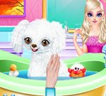 Free Games - Princess Elsa New Poodle Friend