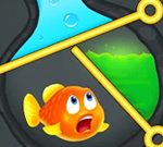 Free Games - Save The Fish 3D